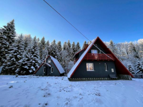 Zawoja 1725 - Slow Life Cabins